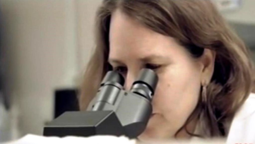 Covid nucleo de inteligencia einstein