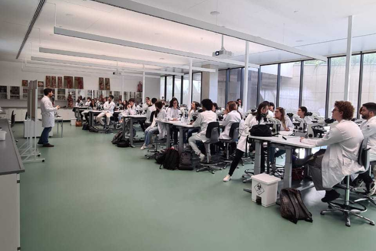 Odontologia a importancia da pratica durante a Graduacao