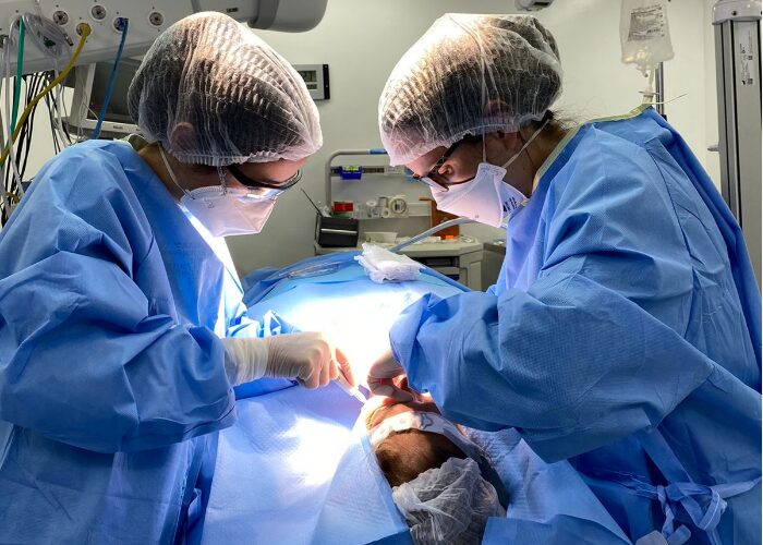 A Importancia Da Pratica Na Formacao Academica E Profissional Do Dentista