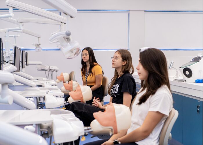 Post Blog O Que Você Precisa Saber Sobre A Graduação Em Odontologia Do Einstein